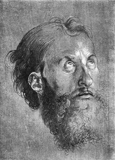 Head of an Apostle Looking Upward Albrecht Durer